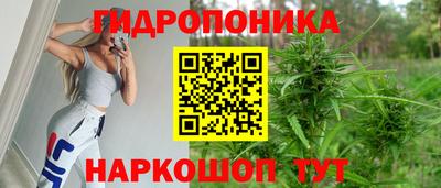 прущие грибы Кимры