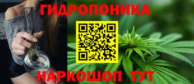 прущие грибы Кимры