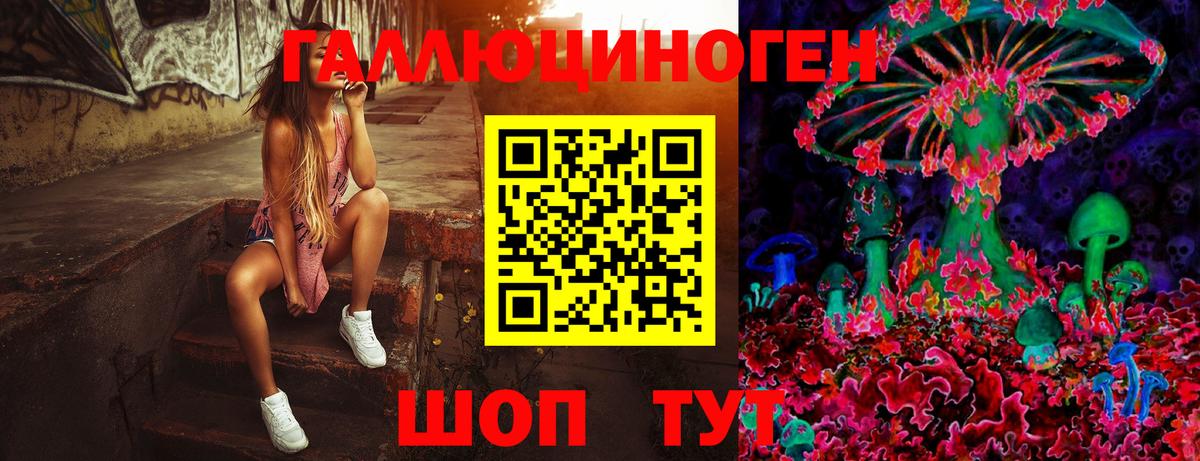 Псилоцибиновые грибы Psilocybine cubensis  Вход с VPN  Кудрово 